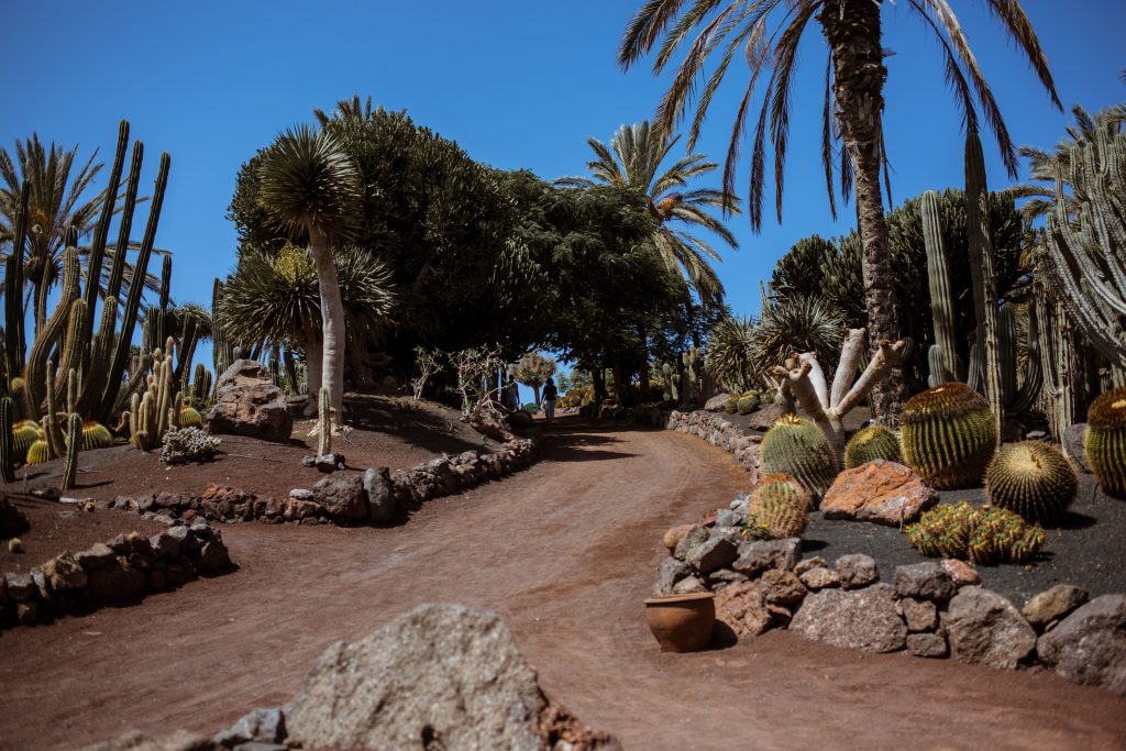 Oasis Park Fuerteventura